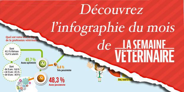 infographie enquete profession